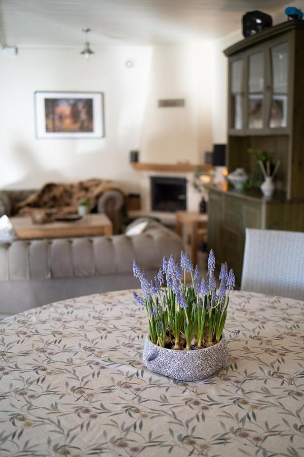 Guest House In Dobele City Center- Pilsetas Maja 외부 사진